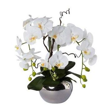 Deko Orchidee Korkenzieherweide Gesteck LULUDI, Keramiktopf silber, Wurzeln, weiß, 55cm