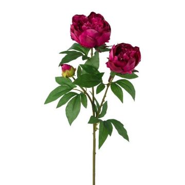 Deko Zweig Pfingstrose SLORVE, cerise, 70cm Deko Zweig Pfingstrose SLORVE, cerise, 70cm