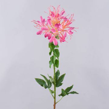 Künstliche Spinnenblume HILDEGARD, rosa, 85cm, Ø20cm Künstliche Spinnenblume HILDEGARD, rosa, 85cm, Ø20cm
