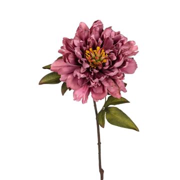 Textilblume Pfingstrose ABIENAS, altrosa, 60cm Textilblume Pfingstrose ABIENAS, altrosa, 60cm