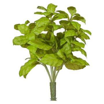 Dekokraut Basilikum KRITIKA auf Steckstab, grün, 28cm Dekokraut Basilikum KRITIKA auf Steckstab, grün, 28cm