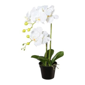 Plastikblume Phalaenopsis Orchidee WENJAN, Dekotopf, Wurzeln, weiß, 55cm