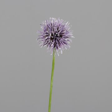 Dekoblume Zierlauch ELIISABET, lila, 50cm Dekoblume Zierlauch ELIISABET, lila, 50cm