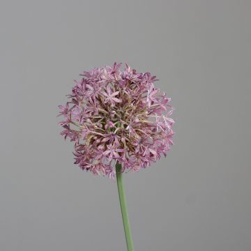 Deko Blume Zierlauch KATHRINA, violett, 70cm Deko Blume Zierlauch KATHRINA, violett, 70cm