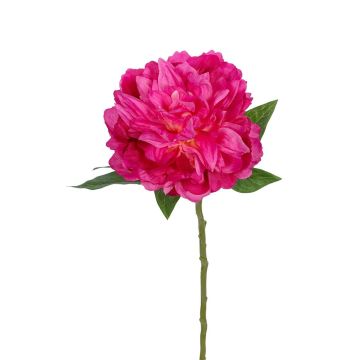 Textilblume Pfingstrose AKIHLA, pink, 60cm Textilblume Pfingstrose AKIHLA, pink, 60cm