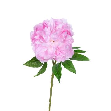 Textilblume Pfingstrose AKIHLA, rosa, 60cm Textilblume Pfingstrose AKIHLA, rosa, 60cm