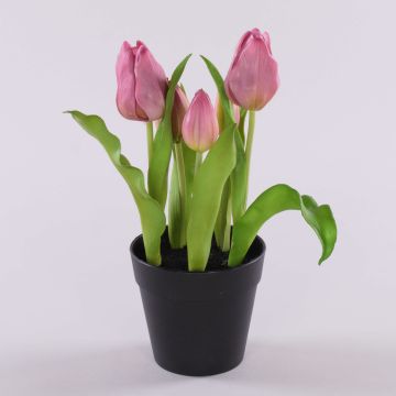 Kunsttulpe CAITLYN im Dekotopf, lila-grün, 25cm, Ø2-6cm