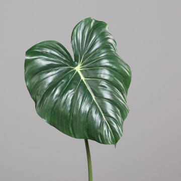 Kunstblatt Alocasia odora VALENTINIANO, grün, 85cm Kunstblatt Alocasia odora VALENTINIANO, grün, 85cm