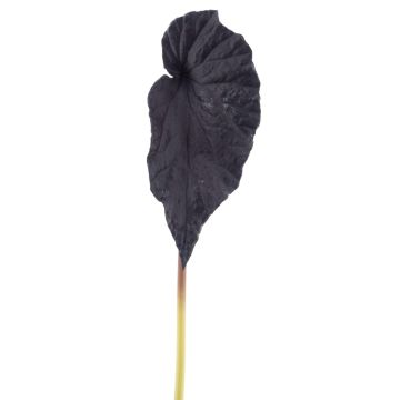 Kunstblatt Blattbegonie THEODORIC, dunkelviolett, 40cm Kunstblatt Blattbegonie THEODORIC, dunkelviolett, 40cm