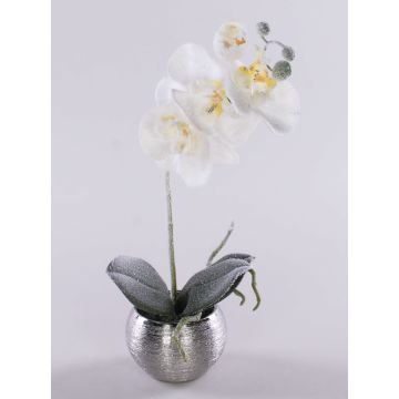 Unechte Phalaenopsis Orchidee KAREN, Dekotopf, gefroren, weiß, 35cm Unechte Phalaenopsis Orchidee KAREN, Dekotopf, gefroren, weiß, 35cm
