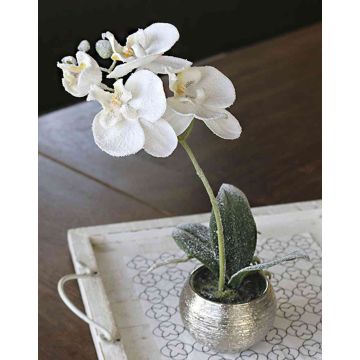 Unechte Phalaenopsis Orchidee KAREN, Dekotopf, gefroren, weiß, 35cm