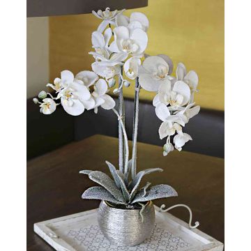 Unechte Phalaenopsis Orchidee KAREN, Dekotopf, gefroren, weiß, 60cm