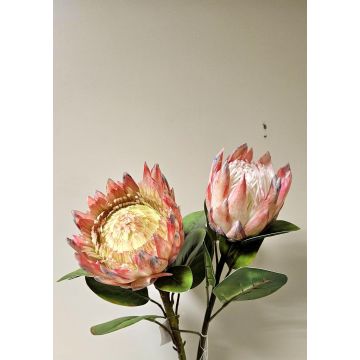 Deko Blumenzweig Königs-Protea TANIEKA, rosa-lila-weiß, 65cm, Ø12cm