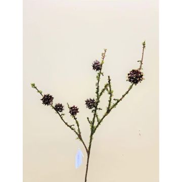 Deko Kiefern Zweig TOMTE mit Moos, Zapfen, grün, 75cm