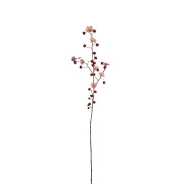 Dekozweig Zierapfel RAINHARD mit Blüten, Früchte, rosa-rot, 110cm Dekozweig Zierapfel RAINHARD mit Blüten, Früchte, rosa-rot, 110cm