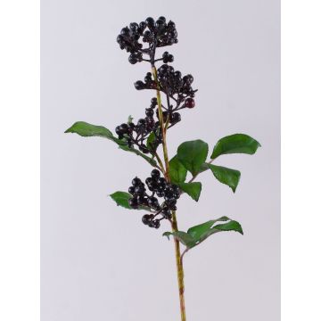 Unechter Zweig Holunderbeeren CHATANGA mit Früchten, burgunderrot-schwarz, 60cm Unechter Zweig Holunderbeeren CHATANGA mit Früchten, burgunderrot-schwarz, 60cm