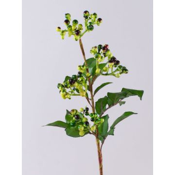 Unechter Zweig Holunderbeeren CHATANGA mit Früchten, grün-rot, 60cm Unechter Zweig Holunderbeeren CHATANGA mit Früchten, grün-rot, 60cm