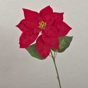 Samt Poinsettia künstlich LIBASSE, rot, 50cm, Ø23cm