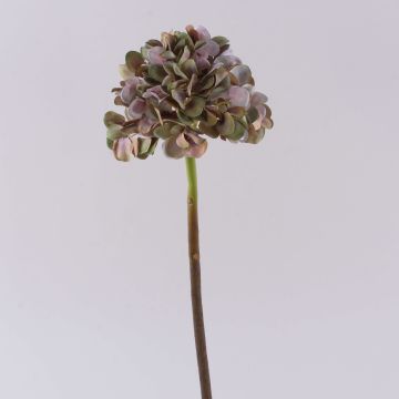 Kunstblume Hortensie MANDISA, grün-rosa, 45cm, Ø16cm Kunstblume Hortensie MANDISA, grün-rosa, 45cm, Ø16cm
