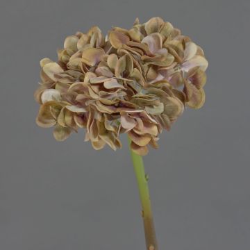 Kunstblume Hortensie MANDISA, beige-altgrün-lila, 45cm, Ø16cm