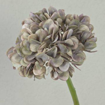 Kunstblume Hortensie MANDISA, grau-lila-grün, 45cm, Ø16cm