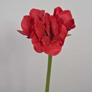 Dekoblume Amaryllis MARKUNO, rot, 65cm, Ø13cm