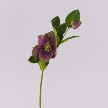 Kunstblume Christrose MITTWEIDA, violett-grün, 35cm Kunstblume Christrose MITTWEIDA, violett-grün, 35cm