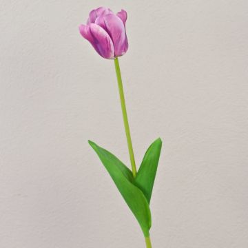 Künstliche Blume Tulpe PJASSINA, violett-weiß, 65cm