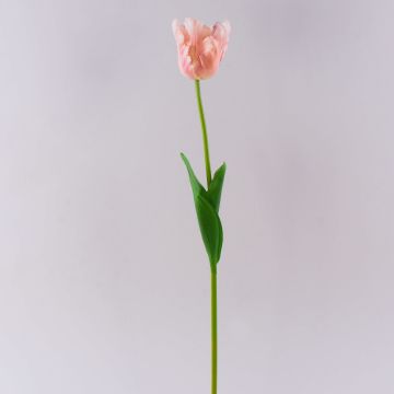 Papageientulpe künstlich PETSCHORA, aprikose-rosa, 65cm Papageientulpe künstlich PETSCHORA, aprikose-rosa, 65cm