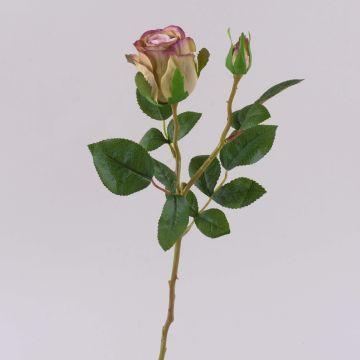 Rose künstlich BARIADY, violett-grün, 35cm, Ø5,5cm Rose künstlich BARIADY, violett-grün, 35cm, Ø5,5cm