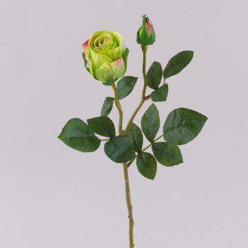 Rose künstlich BARIADY, grün-pink, 35cm, Ø5,5cm Rose künstlich BARIADY, grün-pink, 35cm, Ø5,5cm