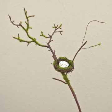 Künstlicher Apfelzweig INDIKIRKA mit Vogelnest, Moos, braun-grün, 70cm