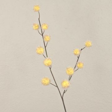 Ballon-Wolfsmilch Deko Zweig ELAENA, Früchte, beige-violett, 100cm Ballon-Wolfsmilch Deko Zweig ELAENA, Früchte, beige-violett, 100cm