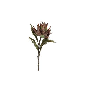 Dekoblume Artischocken Blüte ANNALISA, braun-grün, 75cm, Ø24cm Dekoblume Artischocken Blüte ANNALISA, braun-grün, 75cm, Ø24cm
