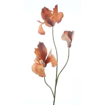 Kunstblume Iris ANNALIESE, orange, 95cm Kunstblume Iris ANNALIESE, orange, 95cm