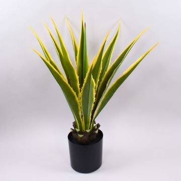 Kunst Agave furcraea gigantea CHERIE, grün-gelb, 80cm Kunst Agave furcraea gigantea CHERIE, grün-gelb, 80cm