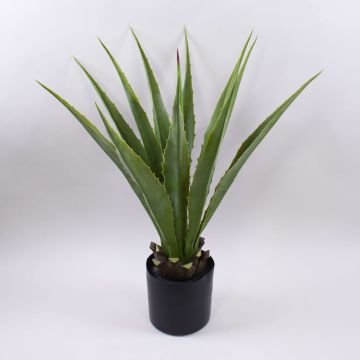 Kunst Agave furcraea gigantea CHERIE, grün-grau, 80cm Kunst Agave furcraea gigantea CHERIE, grün-grau, 80cm