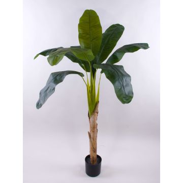 Kunstpflanze Bananenbaum SHARA, 150cm