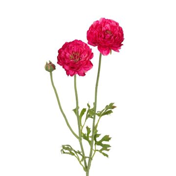 Dekozweig Ranunkel ALIHKA, pink, 55cm Dekozweig Ranunkel ALIHKA, pink, 55cm