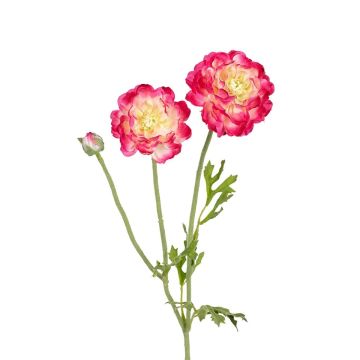 Dekozweig Ranunkel ALIHKA, pink-gelb, 55cm Dekozweig Ranunkel ALIHKA, pink-gelb, 55cm