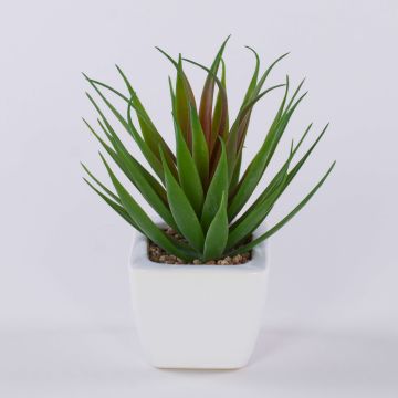 Deko Agave decipiens KATNISS im Keramiktopf, grün-rot, 19cm