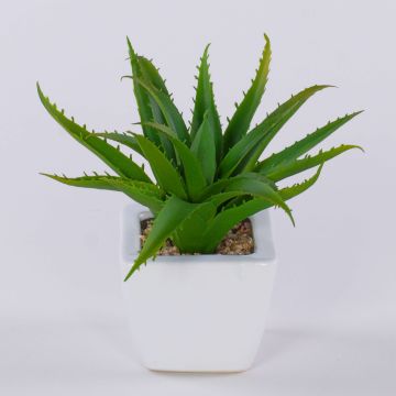 Deko Aloe Vera KATNISS, Keramiktopf, grün, 19cm Deko Aloe Vera KATNISS, Keramiktopf, grün, 19cm