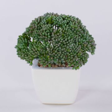 Kunstpflanze Sedum telephium KATNISS, Keramiktopf, grün, 14cm Kunstpflanze Sedum telephium KATNISS, Keramiktopf, grün, 14cm