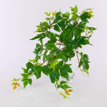 Kunstpflanze Dreispitzige Jungfernrebe ZANTI auf Steckstab, grün-braun, 50cm Kunstpflanze Dreispitzige Jungfernrebe ZANTI auf Steckstab, grün-braun, 50cm