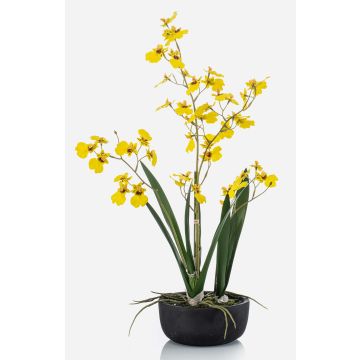 Kunstblume Oncidium Orchidee DEISHA in Dekoschale, Wurzeln, gelb, 60cm