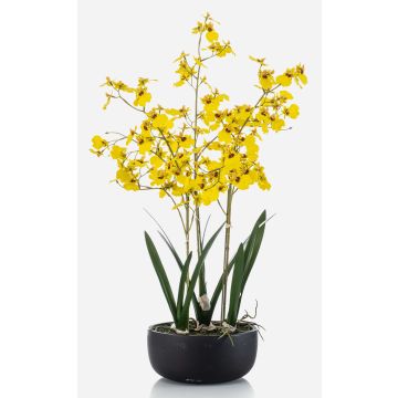 Kunstblume Oncidium Orchidee DEISHA in Dekoschale, Wurzeln, gelb, 70cm