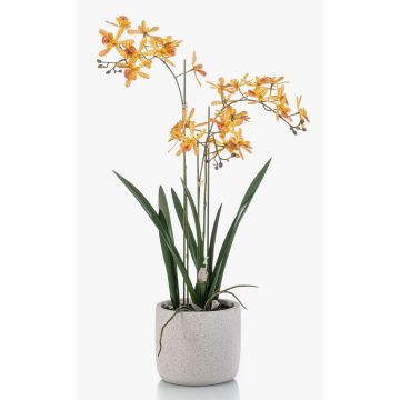 Kunst Orchidee Renanthera BLANI im Keramiktopf, Wurzeln, gelb-pink, 55cm Kunst Orchidee Renanthera BLANI im Keramiktopf, Wurzeln, gelb-pink, 55cm