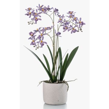Kunst Orchidee Renanthera BLANI im Keramiktopf, Wurzeln, violett-weiß-gelb, 55cm