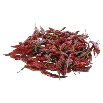 Getrocknete kurze Chilis RÜDIGER, rot, 4-8cm, 250g