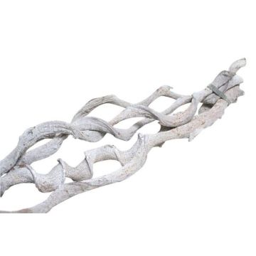 Weinrebenzweige getrocknet VINO, 3 Stück, weiß-gekalkt, 100cm, Ø2cm